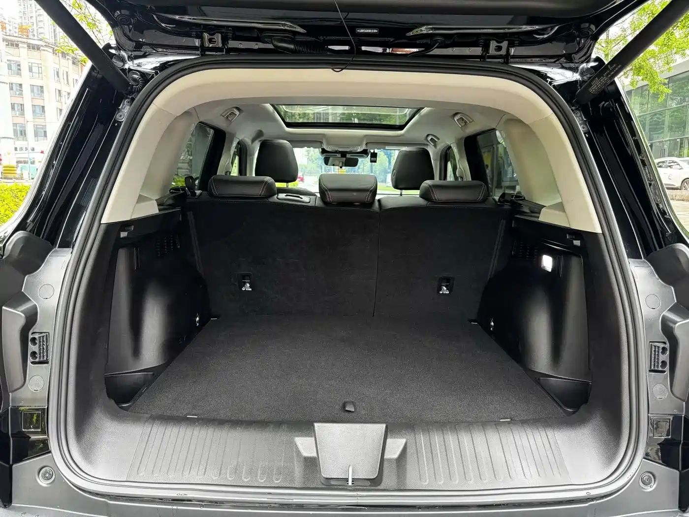 Haval Big Dog 2024 1.5T DCT Border Collie Edition фото 29