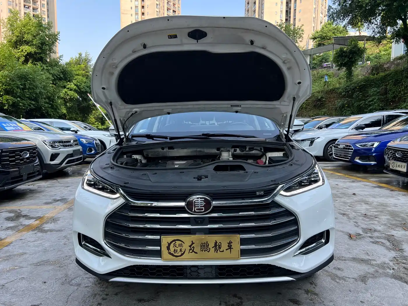 BYD Tang 2018 2.0T Automatic Smart Connection Noble Edition 7-Seater China V фото 4