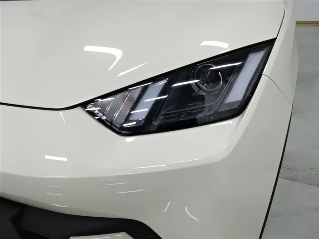 BYD Seagull 2025 305km Vitality фото 18