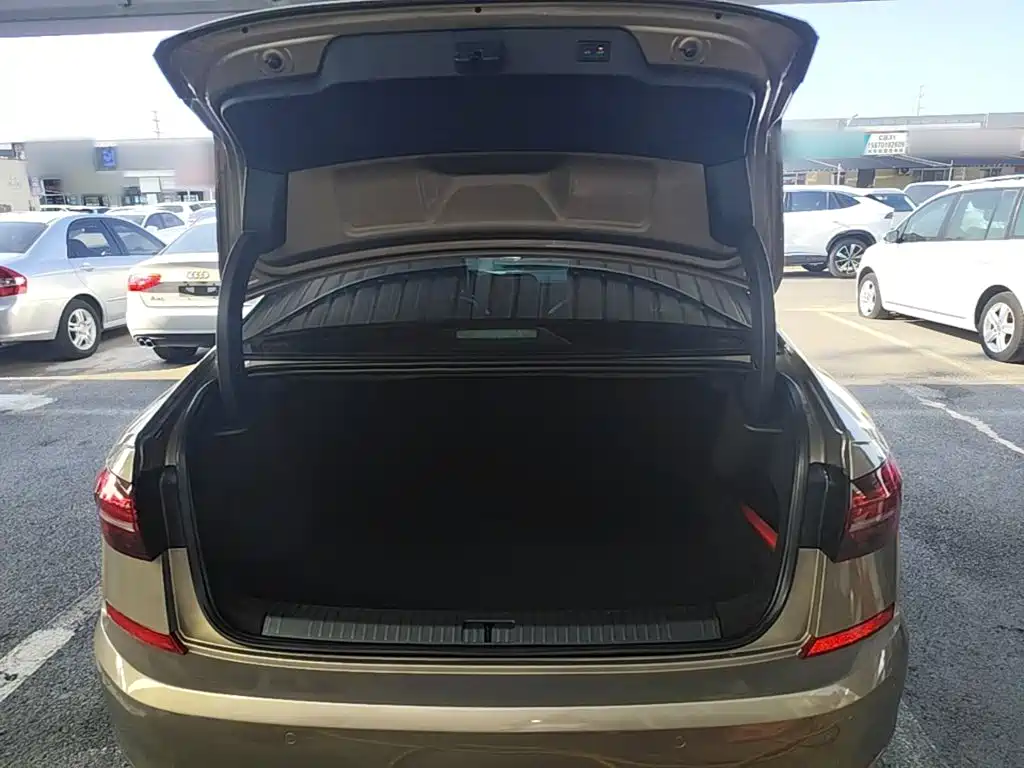 Фото 19 - Volkswagen Passat