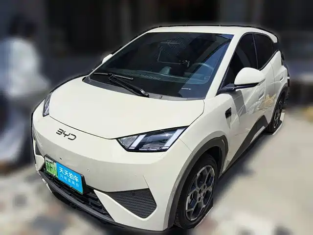 BYD Seagull 2025 Smart Drive Edition 305km Freedom Version — фото 1