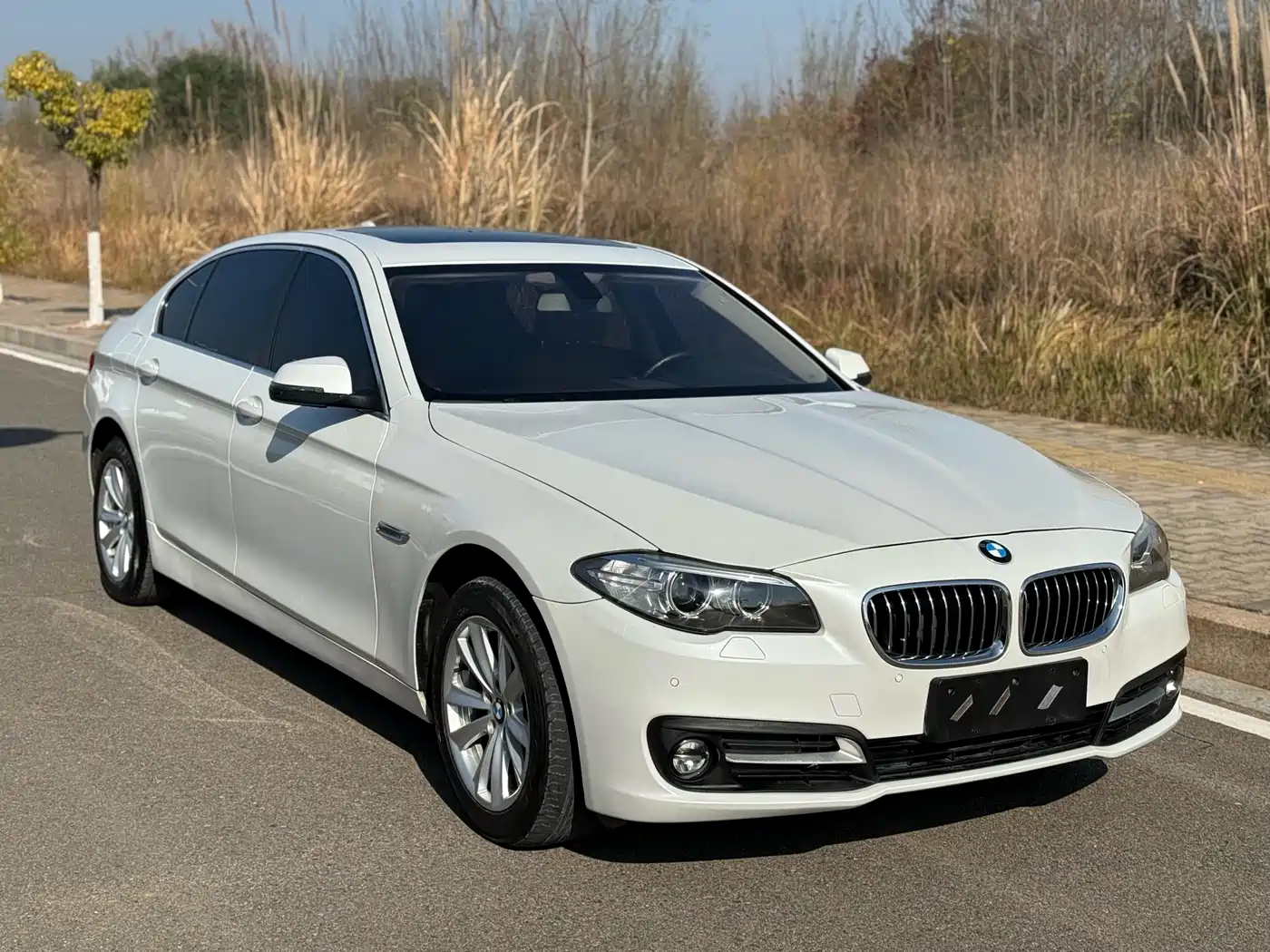 BMW 5 Series 2017 520Li Classic Edition фото 3