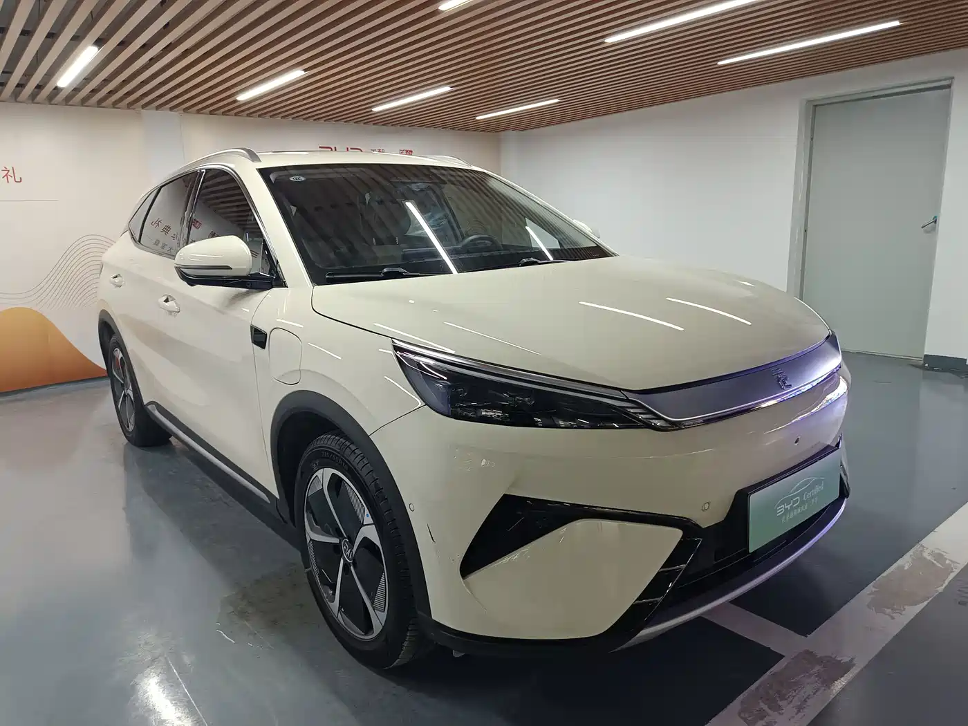 BYD Yuan PLUS 2025 2025 Smart Drive 510KM Surpass Edition