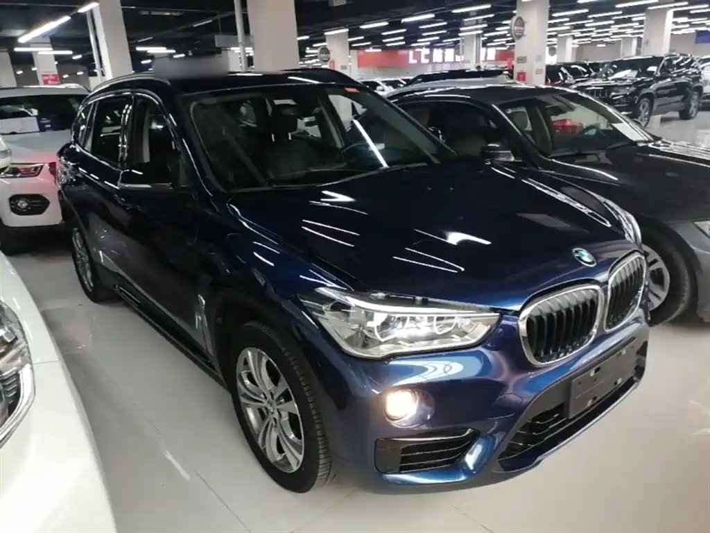 BMW X1 2019 xDrive20Li Luxury Model фото 4