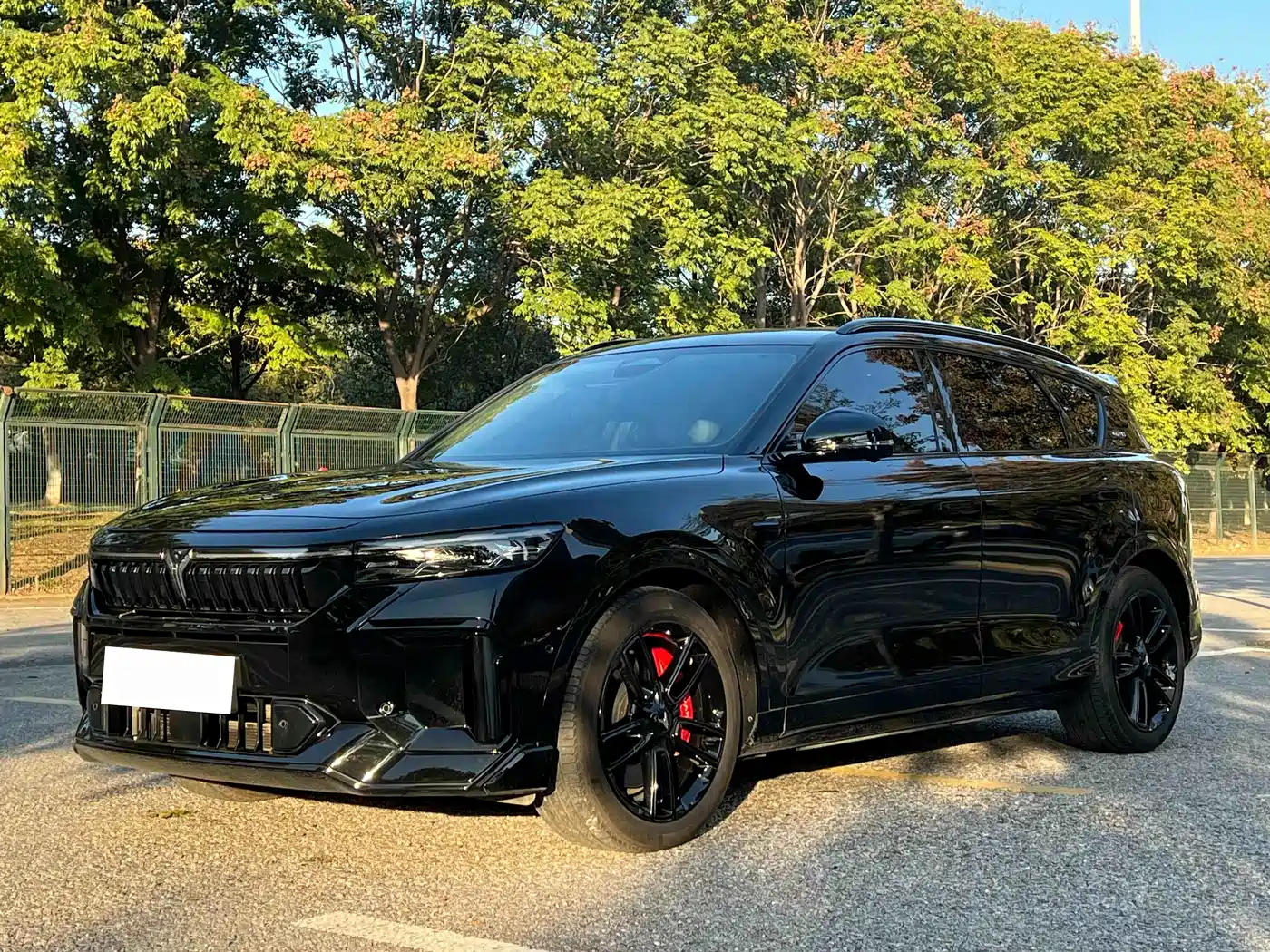 Voyah Auto VOYAH FREE 2025 318 318km RWD Touring Edition