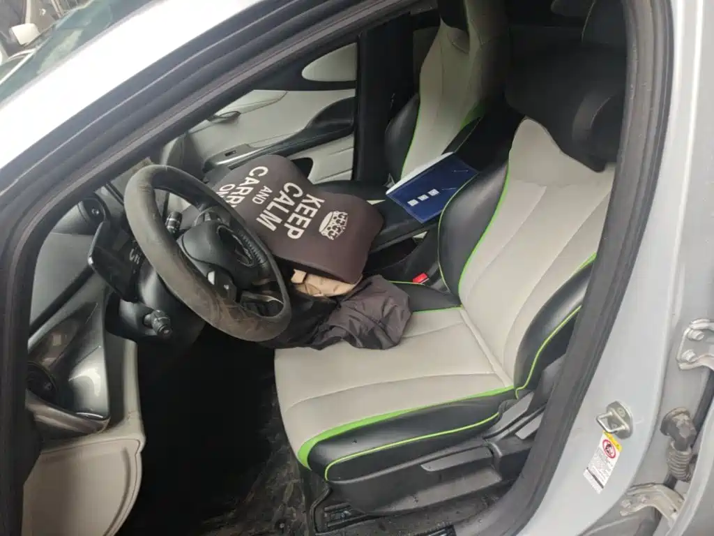BYD Dolphin 2021 2021 405km Freedom Edition