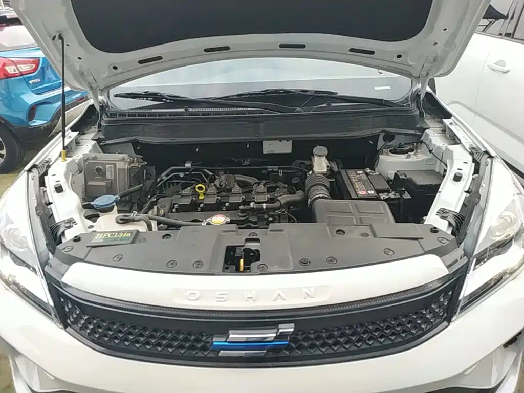 Фото 20 - Changan Oshan Kosai 5