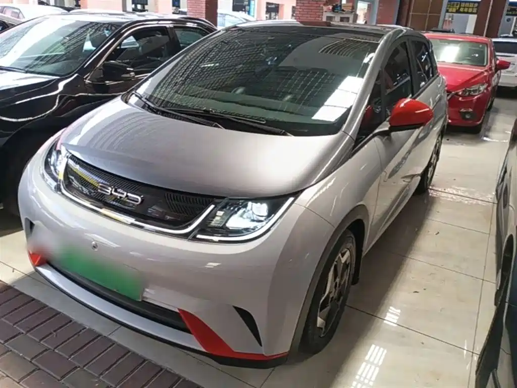 BYD Dolphin 2021 Model 405km Fashion Edition фото 2