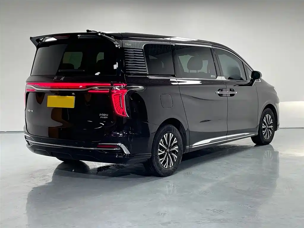 Hongqi HQ9 PHEV 2024 Model 2.0T AWD Luxury Edition фото 6