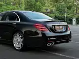 Фото 7 - Carlsson S-Class