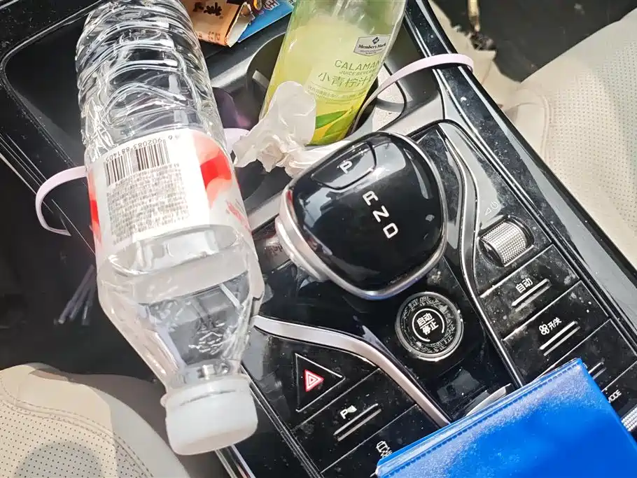 BYD Qin PLUS 2024 Glory Edition DM-i 55KM Leading фото 16