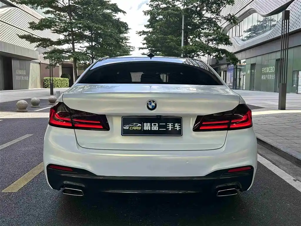 BMW 5 Series 2019 530Li Leading M Sport Package фото 8