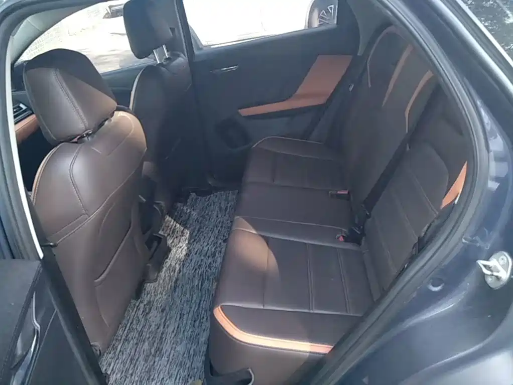 BYD e2 2021 2021 Luxury Edition