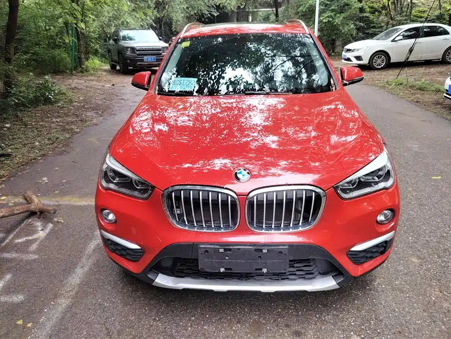 BMW X1 2019 xDrive20Li Premium Model фото 2