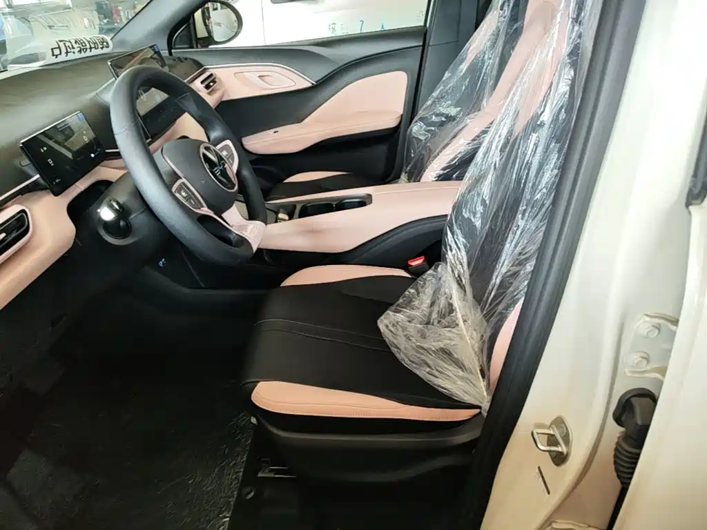 BYD Seagull 2026 2025 Smart Drive Edition 305km Vitality Version