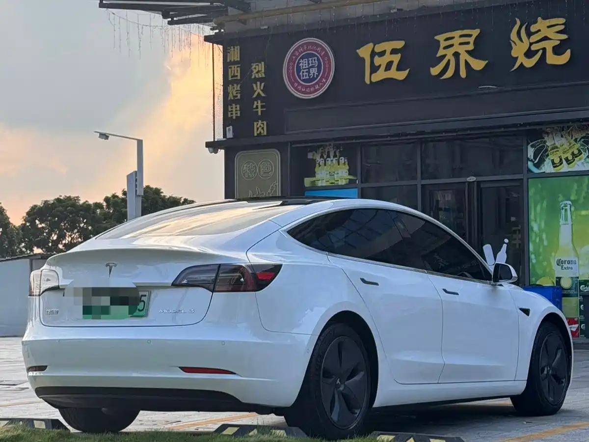 Tesla Model 3 2020 2020 Standard Range Rear-Wheel Drive Upgrade