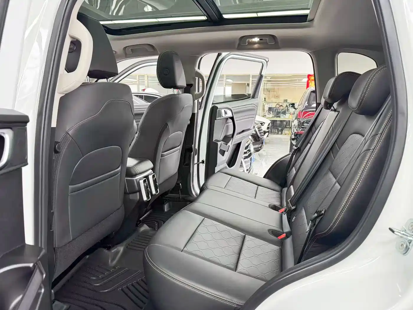 Haval Big Dog 2025 2024 1.5T DCT Border Collie Edition