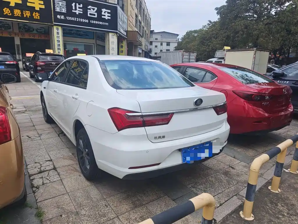 BYD Qin 2019 1.5L Automatic Luxury Edition фото 22