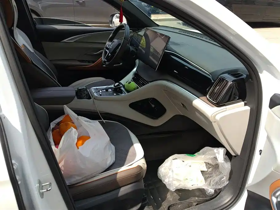 BYD Song Pro New Energy 2022 DM-i 110km Flagship Pro фото 8