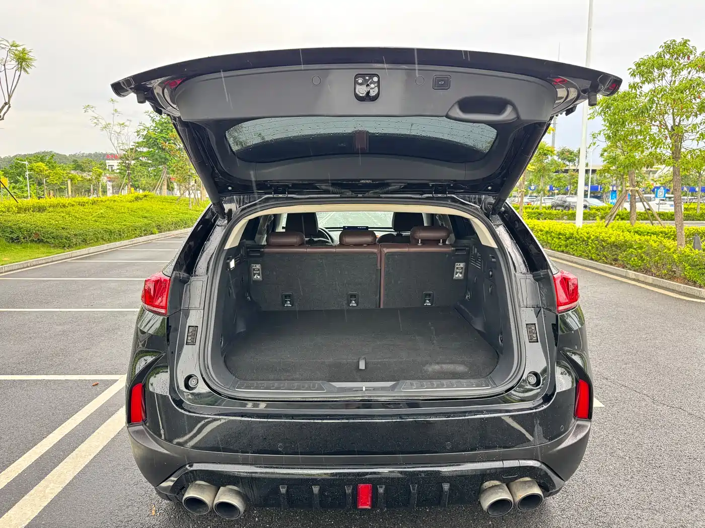 WEY P8 2018 2018 2.0T Flagship Model