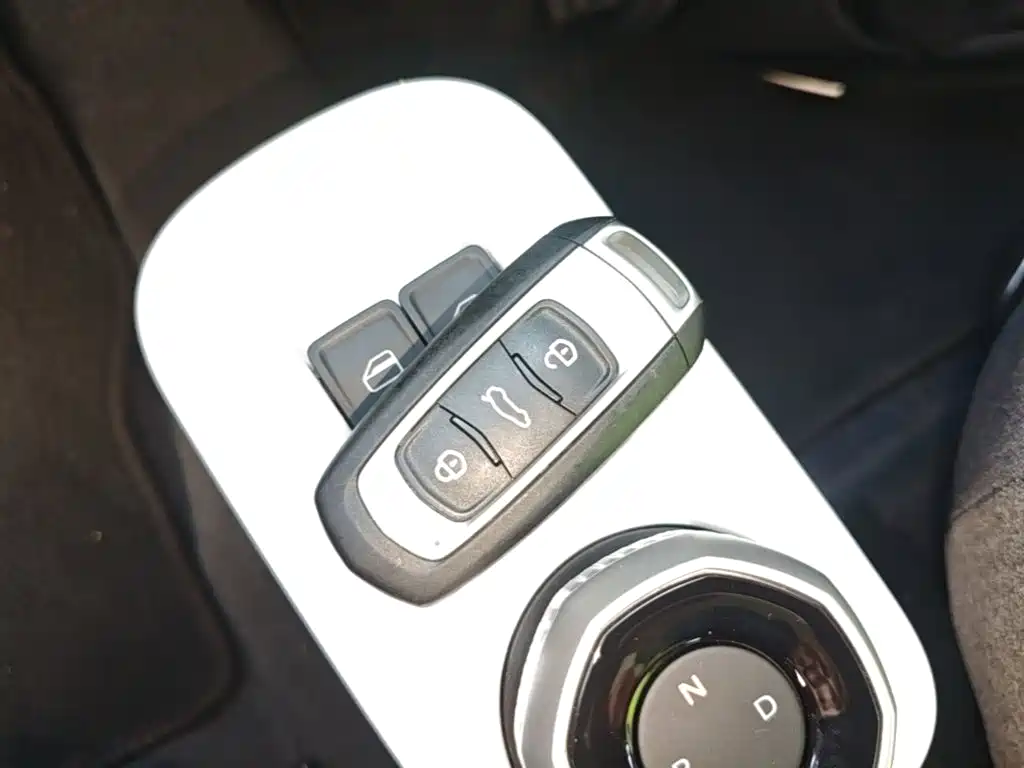 Geely Galaxy Panda 2026 2025 Panda mini 210km Vitality Bear