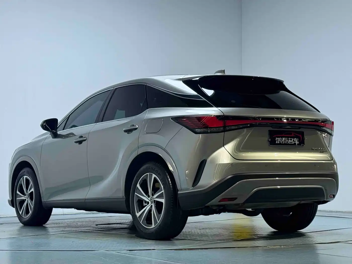 Фото 15 - Lexus RX