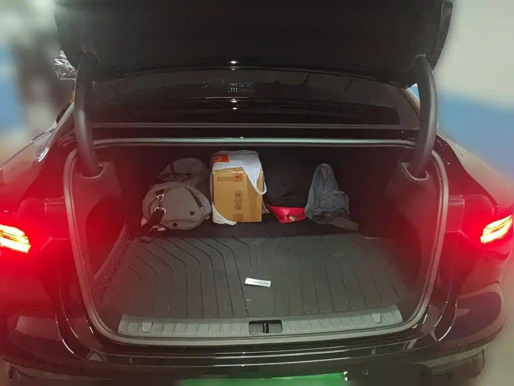 Voyah Passion 2024 2024 PHEV AWD Ultra Long Range Flagship