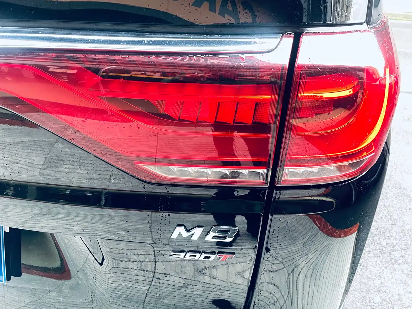 GAC Trumpchi Trumpchi M8 2021 Leading Show Series 390T Ultimate Edition фото 16