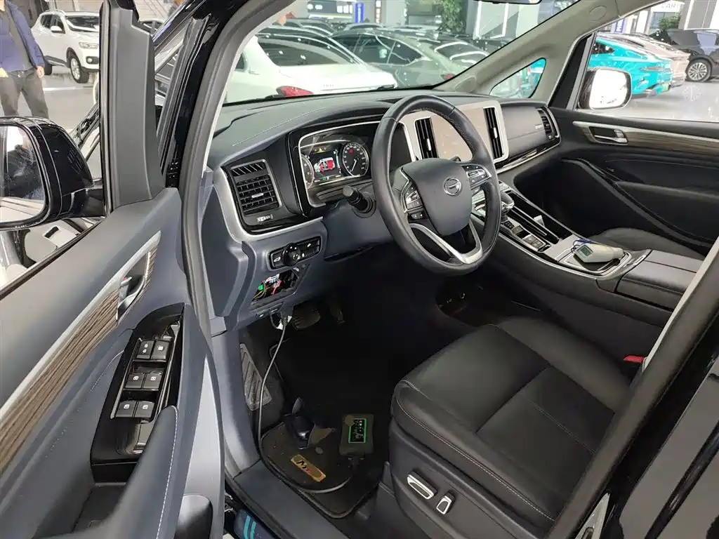 GAC Trumpchi Trumpchi M8 2023 Leading Series 390T Premium Edition фото 12