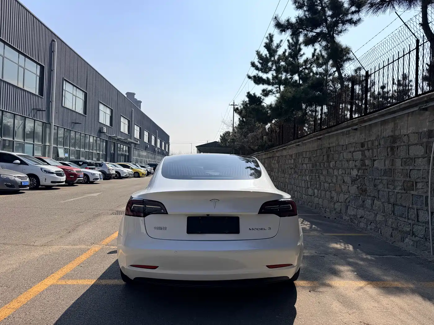 TESLA MODEL 3