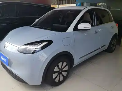 Wuling Bingo