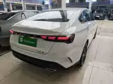 Фото 7 - Geely Binrui