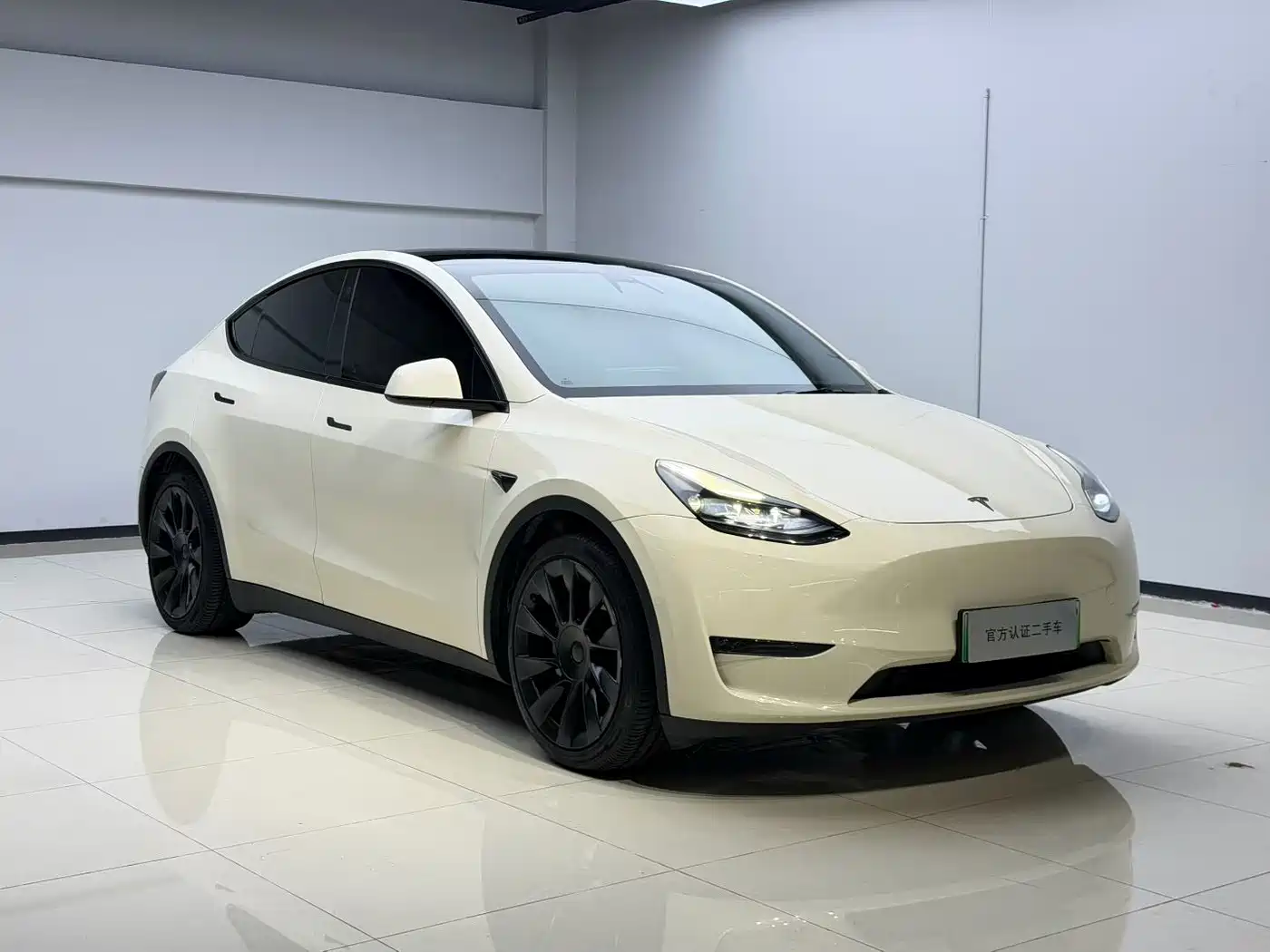 Tesla Model Y 2021 2021 Standard Range Rear-Wheel Drive
