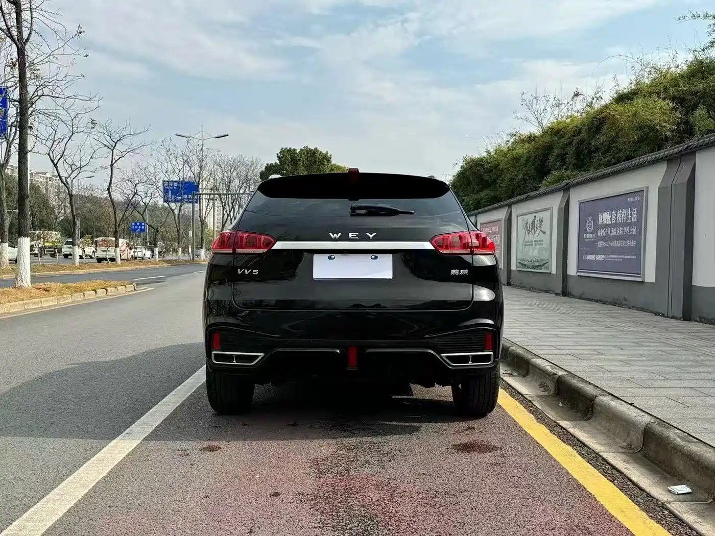 WEI PAI WEI BRAND VV5