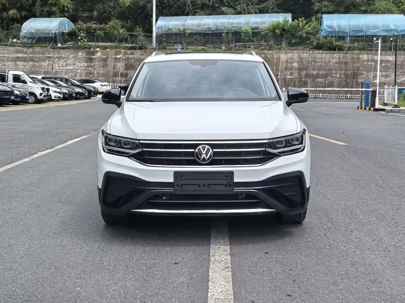Volkswagen Tiguan L 2025 Model 300TSI Auto 2WD Dragon Edition фото 2