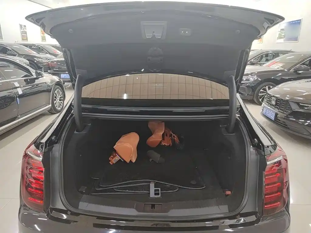 Hongqi H9 2025 2024 2.0T Qi Enjoy Private Fashion Edition