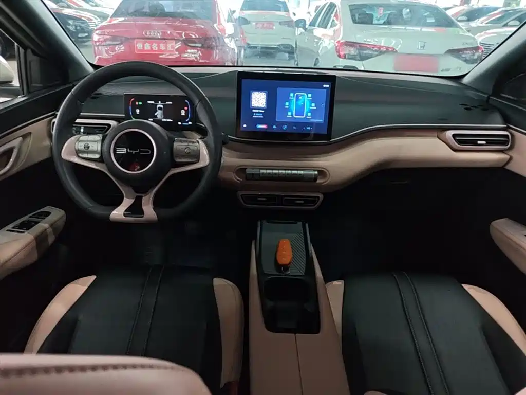 BYD Seagull 2023 Vitality Edition фото 10