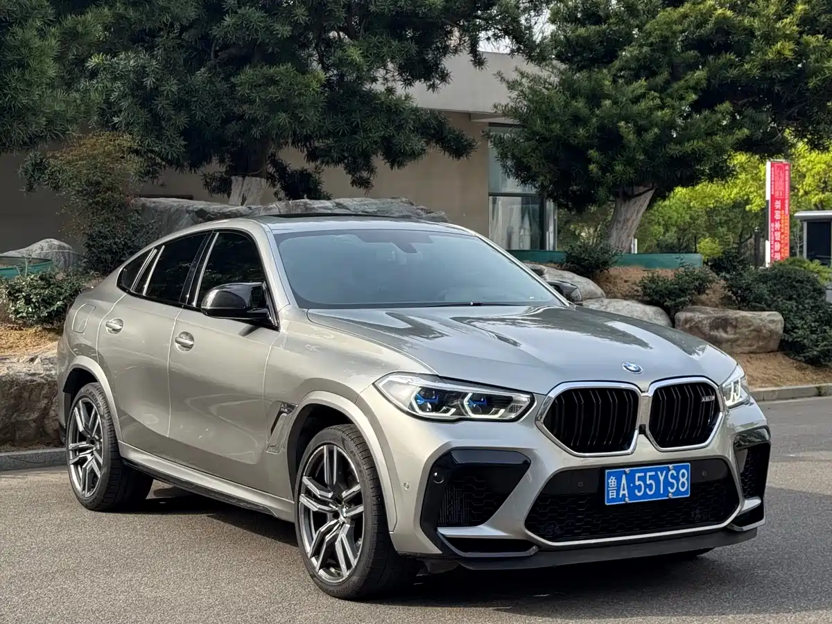 BMW X6 M