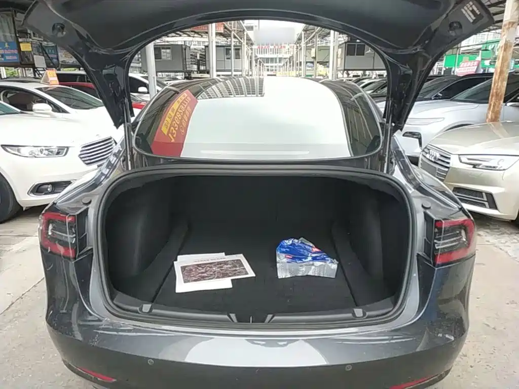 Tesla Model 3 2020 2020 Standard Range Rear-Wheel Drive Upgrade