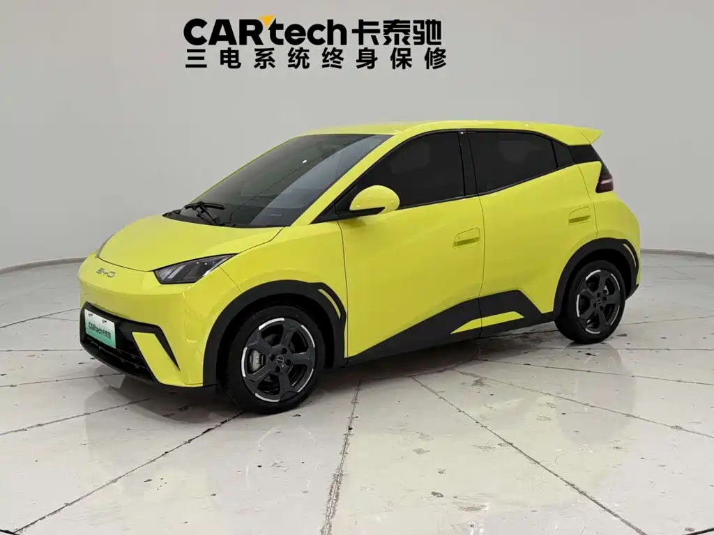 BYD Seagull 2024