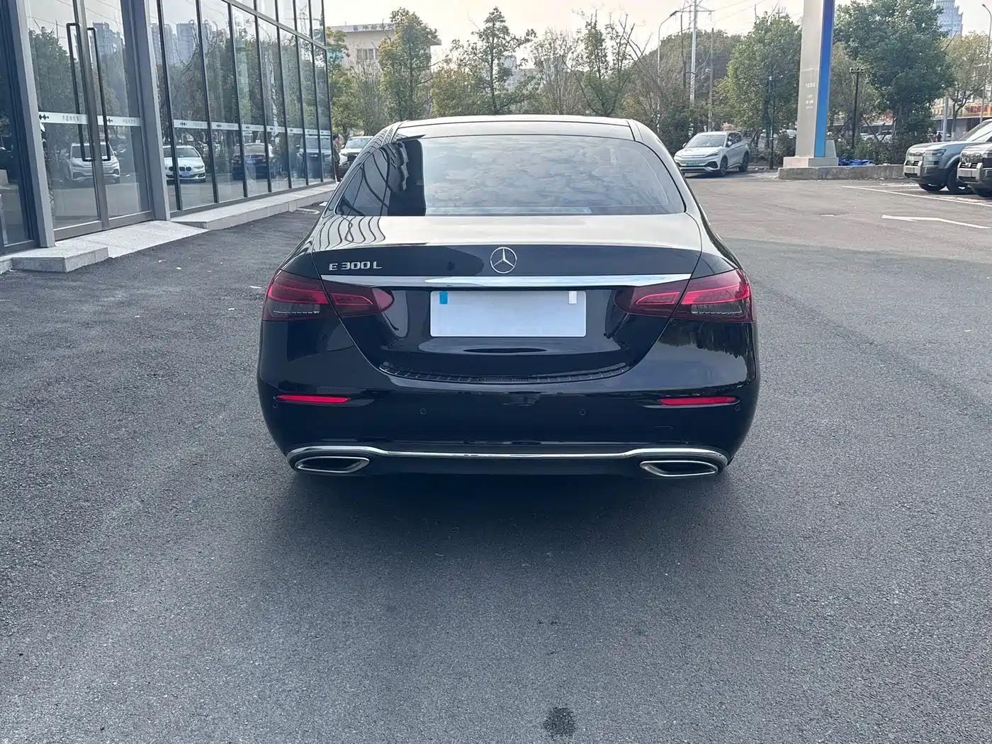 Mercedes-Benz E-Class 2023 E 300 L Fashion фото 12