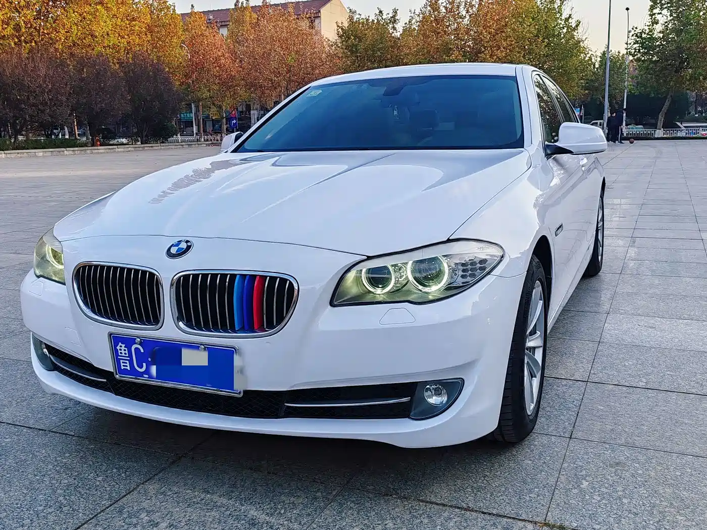 BMW 5 Series 2013 520Li Elegance