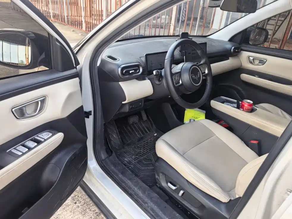Wuling Motors Wuling Binguo PLUS 2024 2024 Model 330km 5-Seater