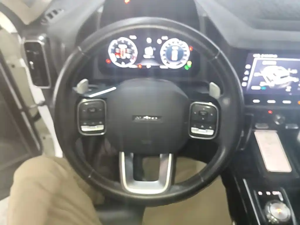 Haval Dargo 2021 2021 2.0T DCT AWD Howling Celestial Dog Edition