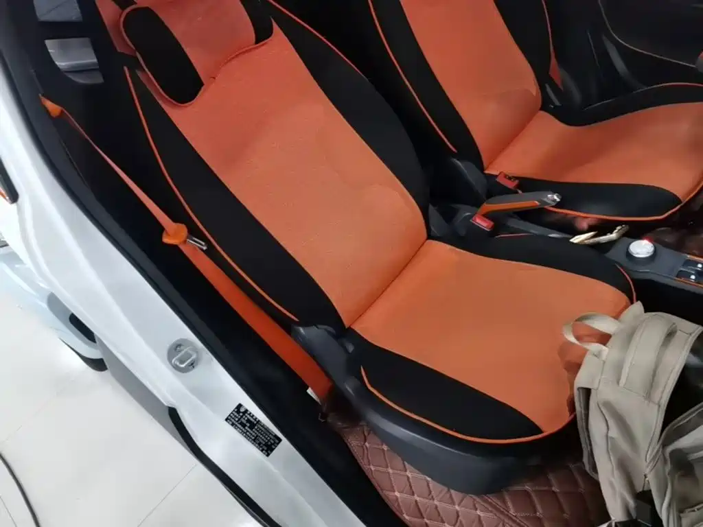 Baojun E100 2020 2020 305KM Intelligent Edition