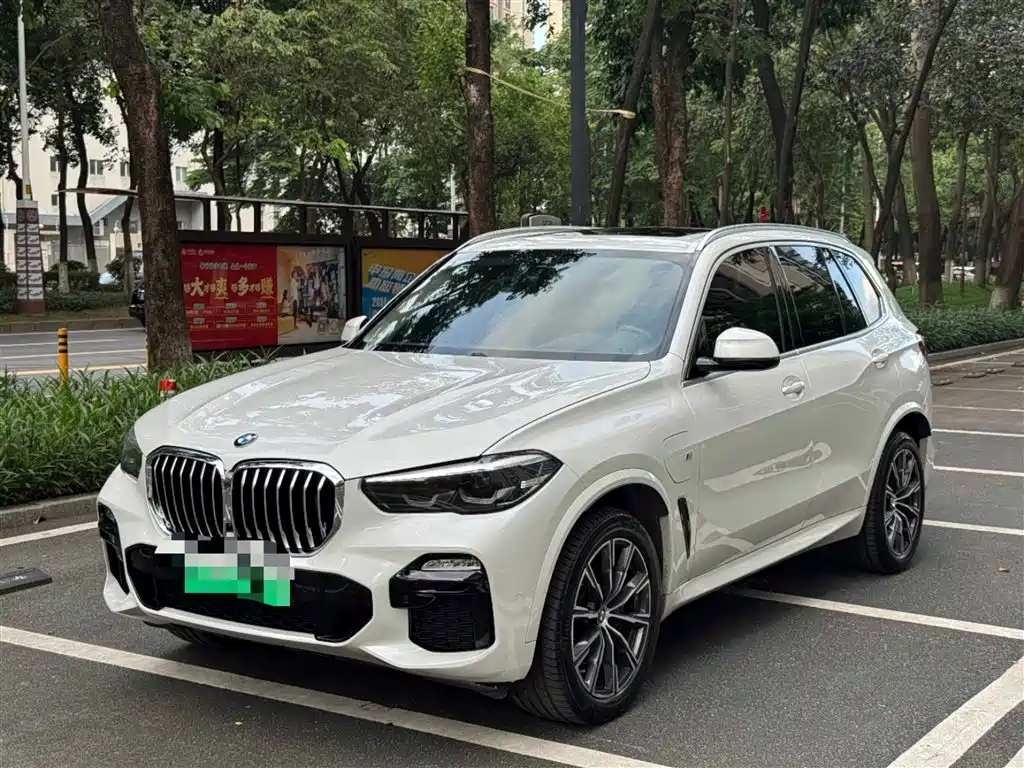 BMW X5 New Energy(Imported) 2020 xDrive45e M Sport Package