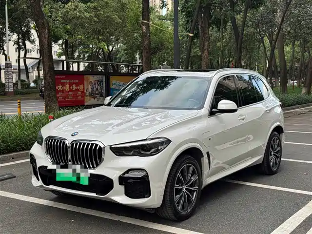 bmw x5-new-energy-(imported)