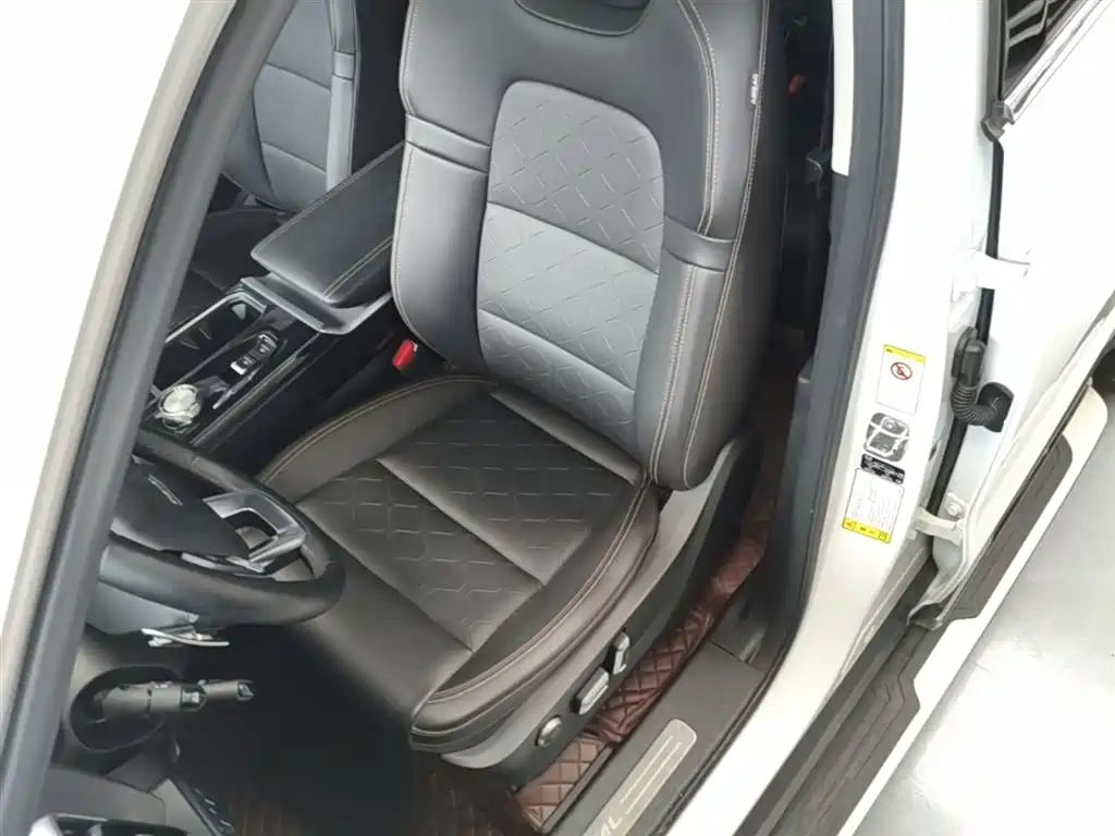 Haval Big Dog 2022 2.0T DCT AWD Chinese Pastoral Dog Edition фото 15