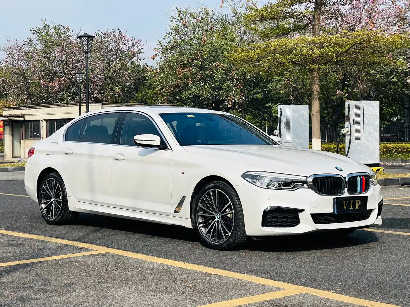 BMW 5 Series 2020 530Li Leading M Sport Package фото 3