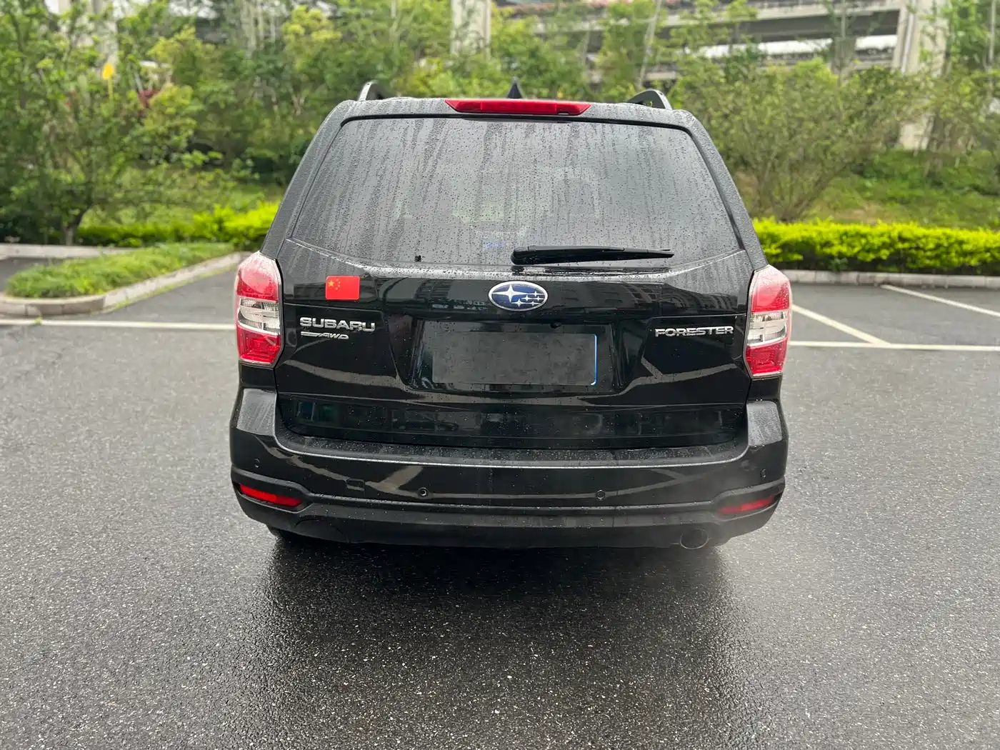 Subaru Forester 2013 2.5i Automatic Elite Edition фото 6